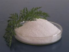 絮凝劑在游泳池中的應用技巧